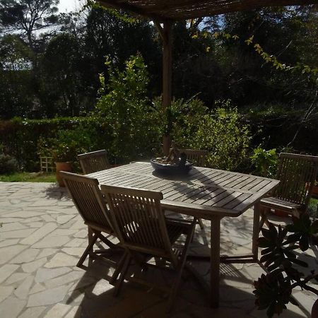 Appartement Tranquille Avec Jardin Et Piscine Fréjus Exteriér fotografie